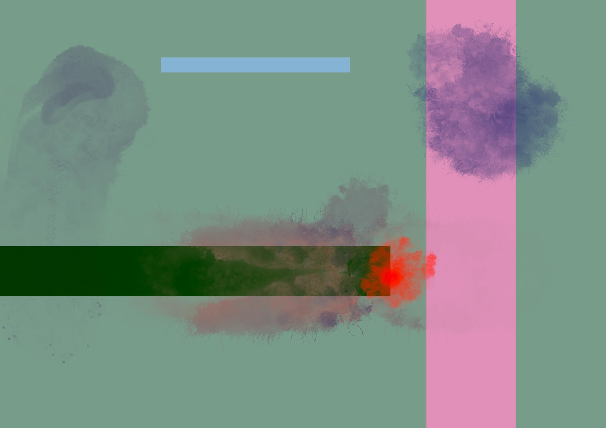 Forgotten Flowers and Blood in the Water