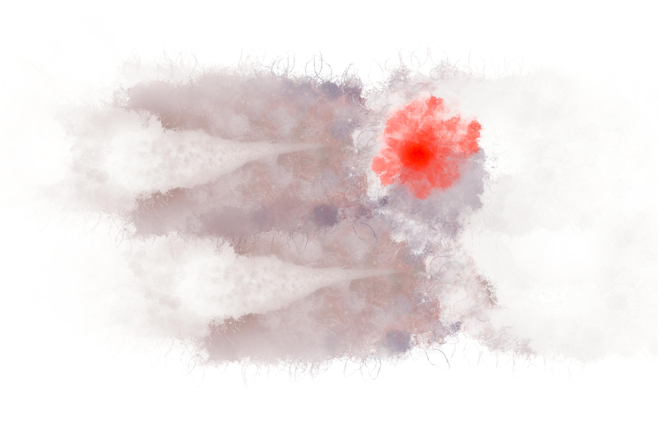 No Tenderness at the Kindred Spirits Table